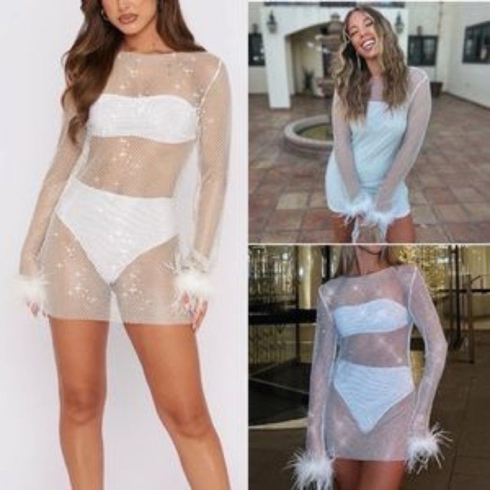 White Fox Boutique Sheer Mesh Dress with Feather Details